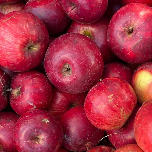 aboli slidosajai reklamai aboli slidosajai reklamai