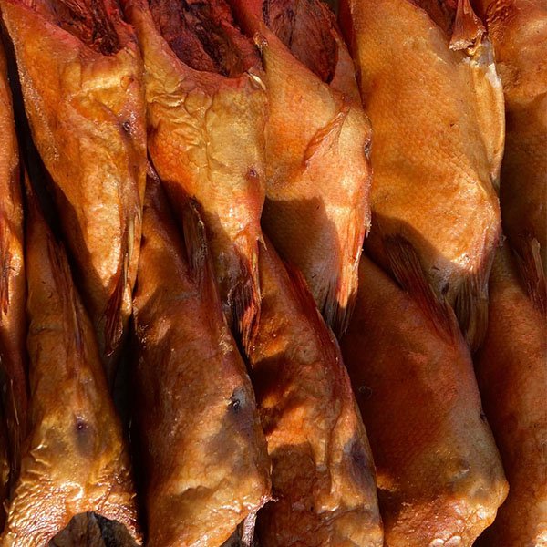 zivis bildes slidosajai reklamai zivis bildes slidosajai reklamai