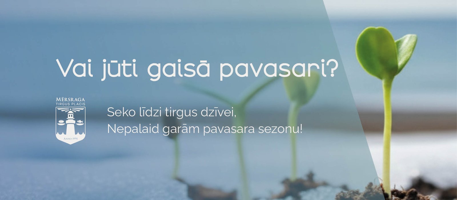 fb_marta_vizuālis_fons